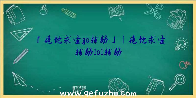 「绝地求生go辅助」|绝地求生辅助lol辅助